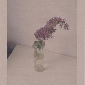 小小奶瓶儿外网叫什么
